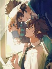 收藏10个以上域名不会丢失蜜芽